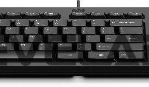 Computer accessories HP  HP 125 USB WD KBD Bulk 12 