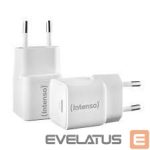 Cables and wires Intenso  POWER ADAPTER USB-C/7803032 