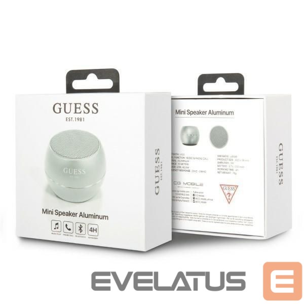 Other Guess Gray