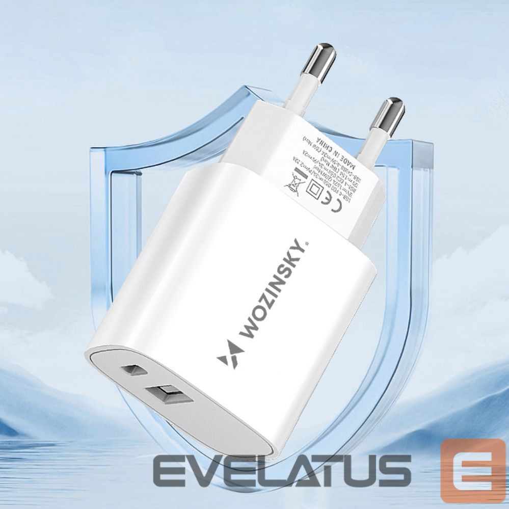 Adapter Wozinsky White