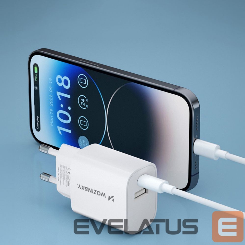Adapter Wozinsky White