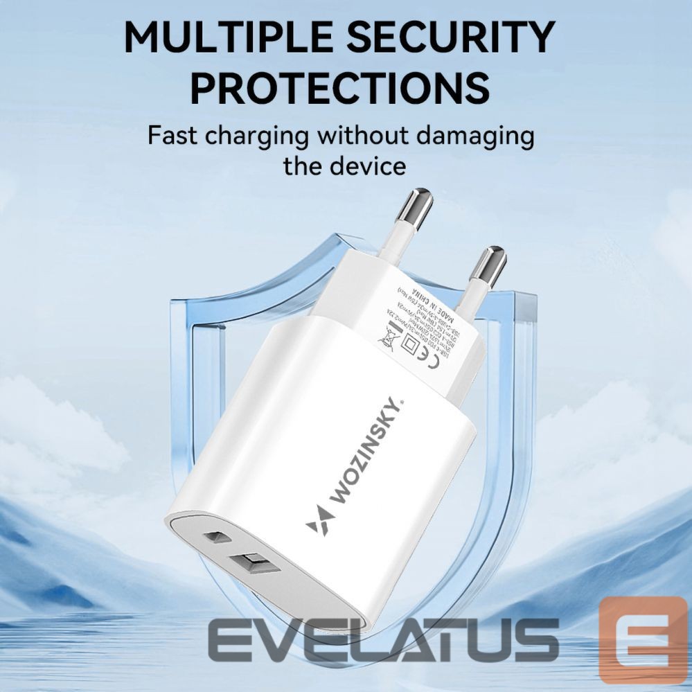 Adapter Wozinsky White