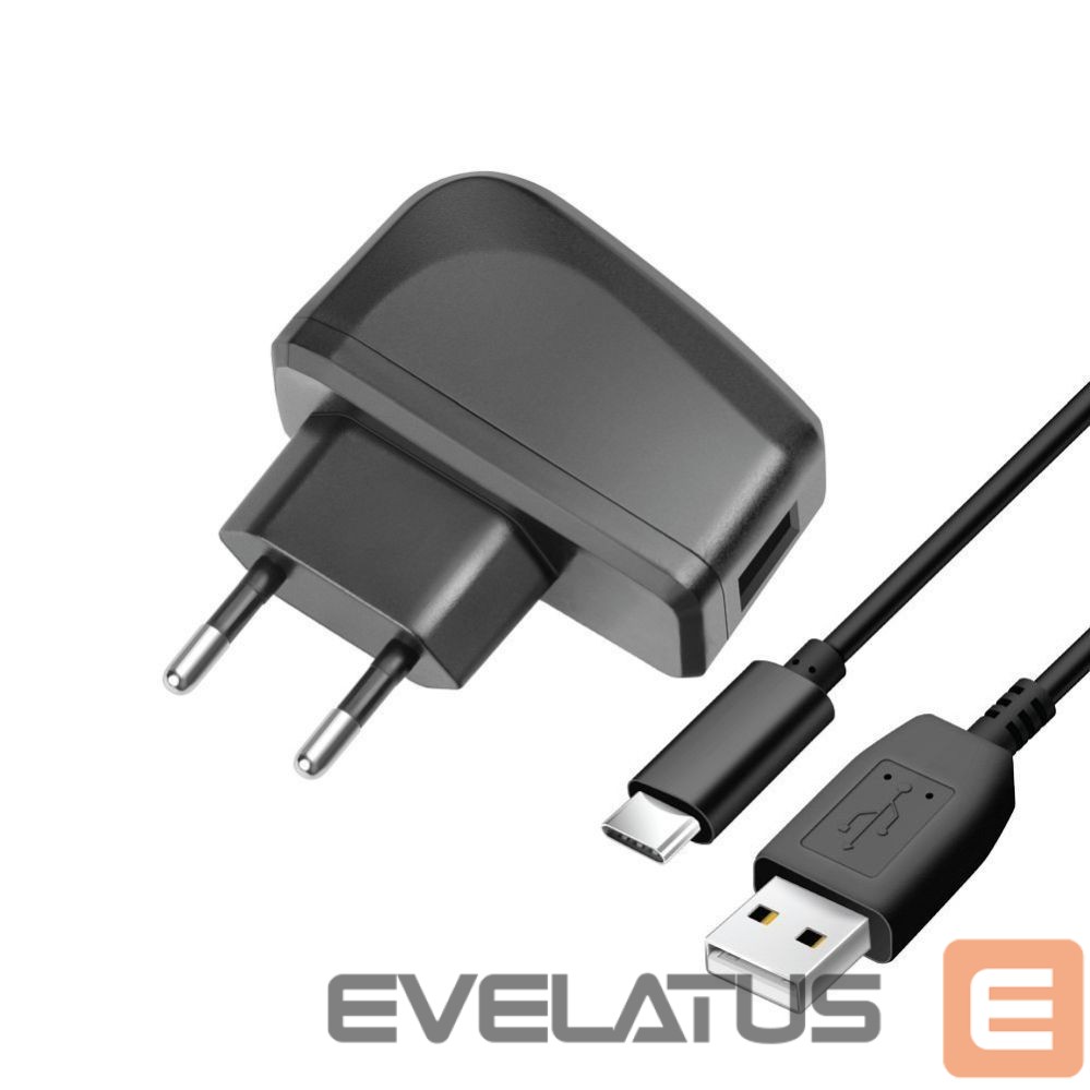 Cable Blue Star Phone charger Blue Star Lite USB A 2A 10W + cable USB A to USB C TFK-TC-1095B black
