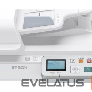 Cable EPSON  Network Interface Panel 