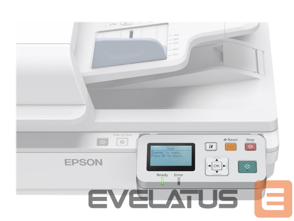 Cable EPSON Network Interface Panel