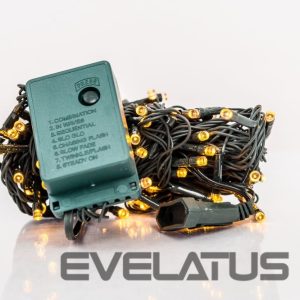 Lights for indoor use iLike N/A Ziemassvētku lampiņu virtene 100LED RS-111 7m. Yellow