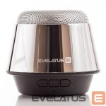Bluetooth speakers Evelatus - Bluetooth Speaker ESP01 Silver