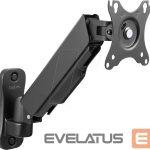 TV bracket Logilink  Monitor wall mount BP0144 17-32 