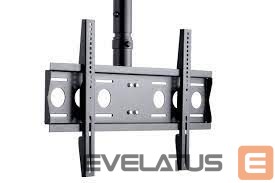 TV bracket EDBAK  Ceiling Mount With Height Adjustment Ceiling mount, CMS21, 40-75 