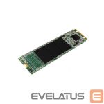 Hard drive SSD Silicon power  A55 256 GB, SSD interface M.2 SATA, Write speed 450 MB/s, Read speed 550 MB/s 