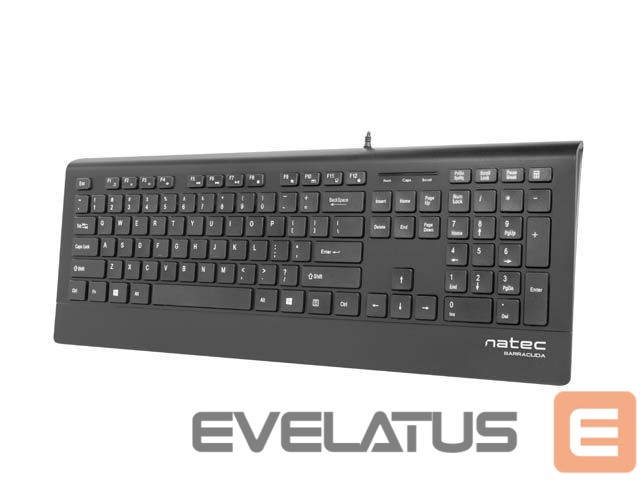 Computer keyboard Natec Keyboard, Barracuda, US Layout, Slim