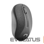Computer mouse Natec  Mouse, Toucan, Wireless, 1600 DPI, Optical, Black-Grey 