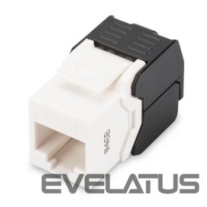 Converter Digitus  CAT 5e Keystone Jack DN-93502 