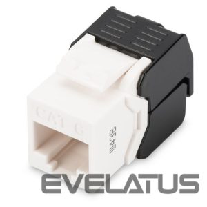Converter Digitus  CAT 6 Keystone Jack DN-93603 