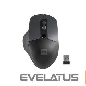 Computer mouse Natec  Mouse, BlackBird 2, Silent, Wireless, 1600 DPI, Optical, Black 