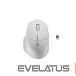 Computer mouse Natec  Mouse Siskin 2 	Wireless, White, USB Type-A 