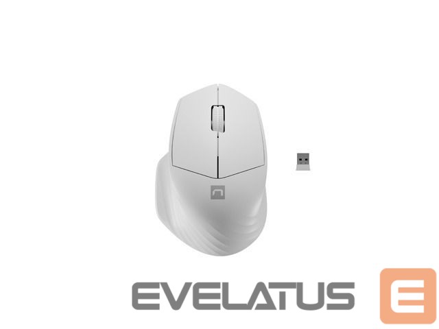 Computer mouse Natec Mouse Siskin 2 Wireless, White, USB Type-A