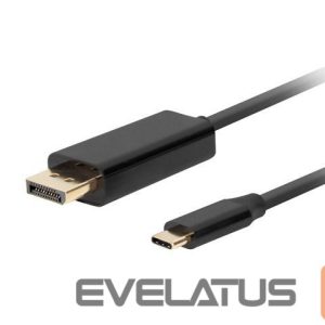 Converter Lanberg  USB-C to DisplayPort Cable, 1 m 4K/60Hz, Black 