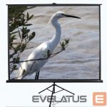 Screen for projectors Elite Screens  Tripod Series T120UWV1 Diagonal 120 