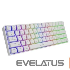Computer keyboard Genesis  THOR 660 RGB Gaming keyboard, RGB LED light, US, White, Wireless/Wired, Wireless connection, Gateron Red Switch 