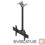 TV bracket EDBAK  Menu Board Ceiling Mount for One Screen Ceiling mount, MBV1155-L, 42-57 ", Maximum weight (capacity) 70 kg, 	Black 