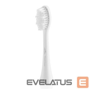 Toothbrush ETA  Toothbrush replacement FlexiClean 070790100 Heads, For adults, Number of brush heads included 2, White 