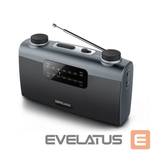 Interactive solution Muse  Portable radio M-058R Black, AUX in 