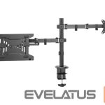 TV bracket Digitus  Universal Monitor Mount with Notebook Holder 
