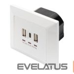 Server - Other Accessories Digitus  Socket with USB A & USB-C Ports, flush mounted 