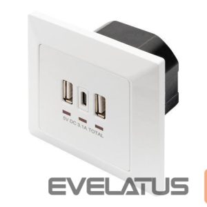 Server - Other Accessories Digitus  Socket with USB A & USB-C Ports, flush mounted 