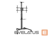 Monitor accessory Assman electronic  DIGITUS TV-Cart for screens up to 70inch 