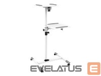 Other Computer Accessory Techly  Universal projector / notebook trolley with two shelves White