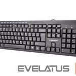 Computer keyboard Gembird  GEMBIRD KB-UM-106 Gembird compact multim 