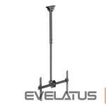 Monitor accessory Techly  TECHLY 309357 Techly Ceiling mount for T 