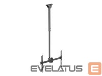 Monitor accessory Techly  TECHLY 309357 Techly Ceiling mount for T 