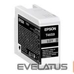 Printer accessories EPSON  EPSON Singlepack Light Gray T46S9 UltraC 