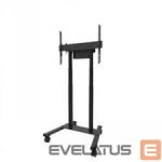 TV accessories NEOMOUNTS  TV SET ACC FLOOR STAND 37-100"/FL55-875BL1 