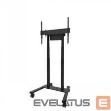 TV accessories NEOMOUNTS  TV SET ACC FLOOR STAND 37-100"/FL55-875BL1 