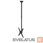 TV accessories NEOMOUNTS  TV SET ACC CEILING MOUNT 32-75/FPMA-C340BLACK 