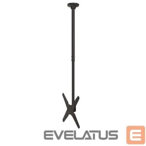 TV accessories NEOMOUNTS  TV SET ACC CEILING MOUNT 32-75/FPMA-C340BLACK 