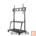 TV accessories NEOMOUNTS  TV SET ACC FLOOR STAND 60-105"/NS-M4000BLACK 