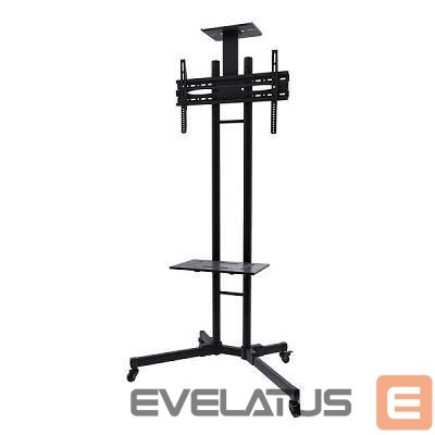 TV accessories NEOMOUNTS TV SET ACC FLOOR STAND BLACK/32-55" PLASMA-M1700E