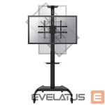 TV accessories NEOMOUNTS  TV SET ACC FLOOR STAND BLACK/37-70" PLASMA-M1900E 