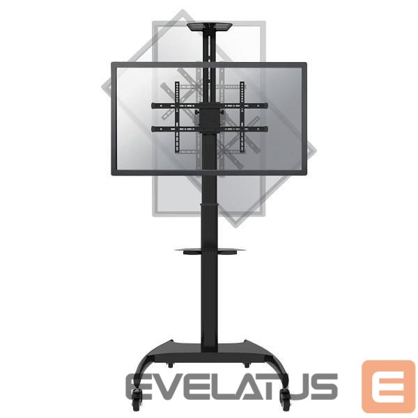 TV accessories NEOMOUNTS TV SET ACC FLOOR STAND BLACK/37-70" PLASMA-M1900E