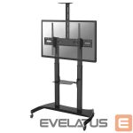 TV accessories NEOMOUNTS  TV SET ACC FLOOR STAND BLACK/PLASMA-M1950E 