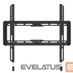 TV accessories NEOMOUNTS  TV SET ACC WALL MOUNT/WL30-550BL14 