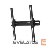 TV accessories NEOMOUNTS  TV SET ACC WALL MOUNT/WL35-350BL14 