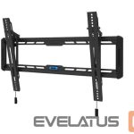 TV accessories NEOMOUNTS  TV SET ACC WALL MOUNT/WL35-550BL16 