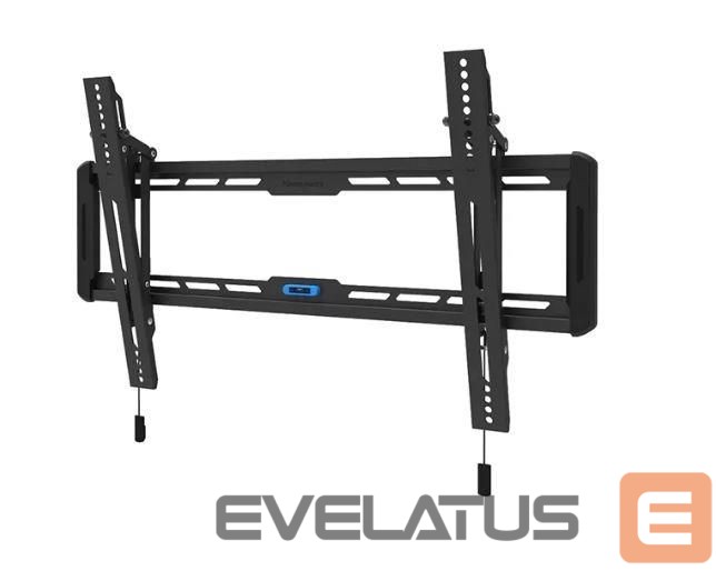 TV accessories NEOMOUNTS TV SET ACC WALL MOUNT/WL35-550BL16