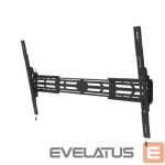 TV accessories NEOMOUNTS  TV SET ACC WALL MOUNT/WL35S-950BL19 
